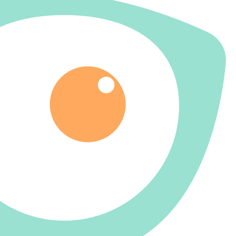 Website Accessibility What You Need To Know Papaya Studio website-accessibility-what-you-need-to-know-papaya-studio