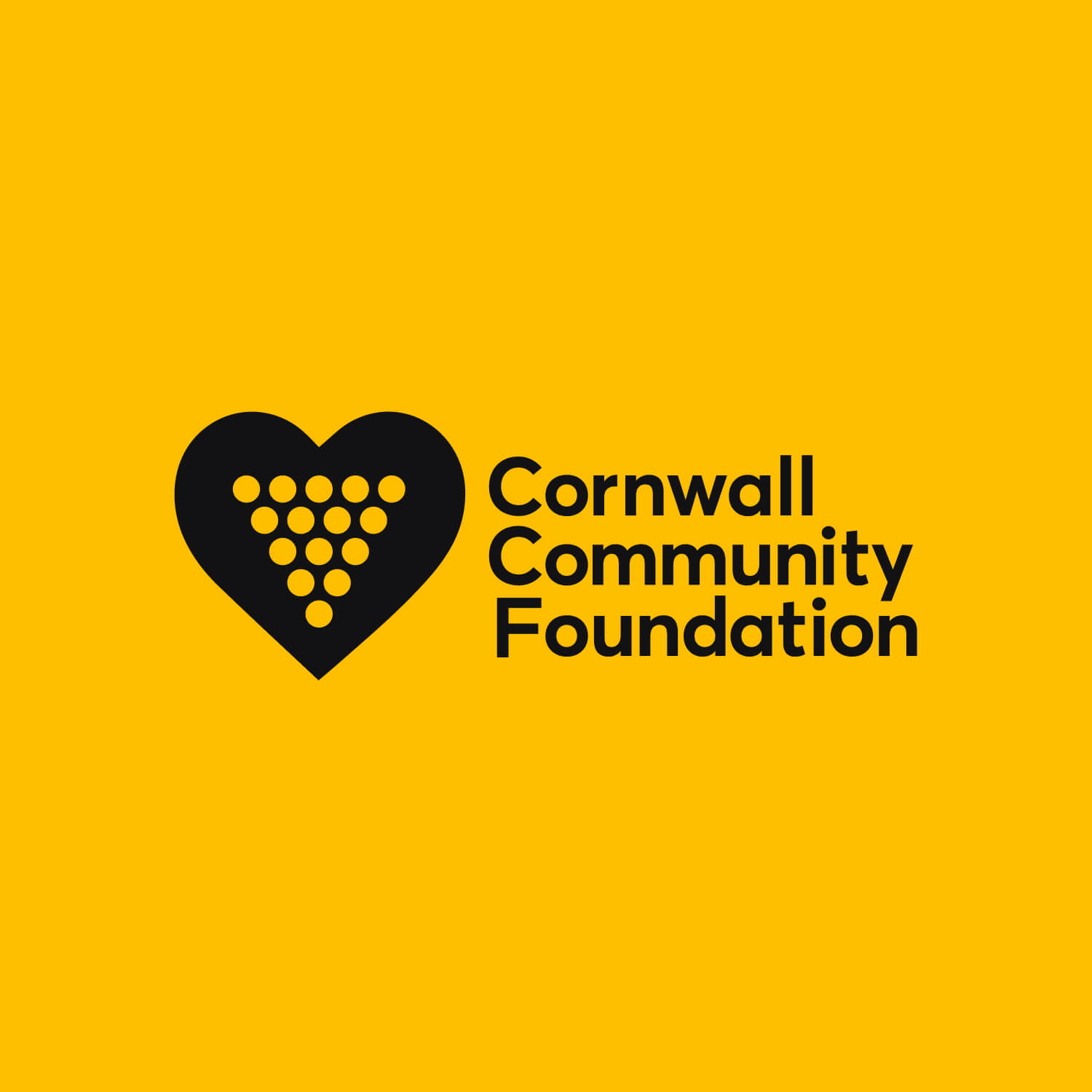 Cornwall Community Foundation Logo for upcoming charity website project with Cornwall Web Design Agency Papaya Studio